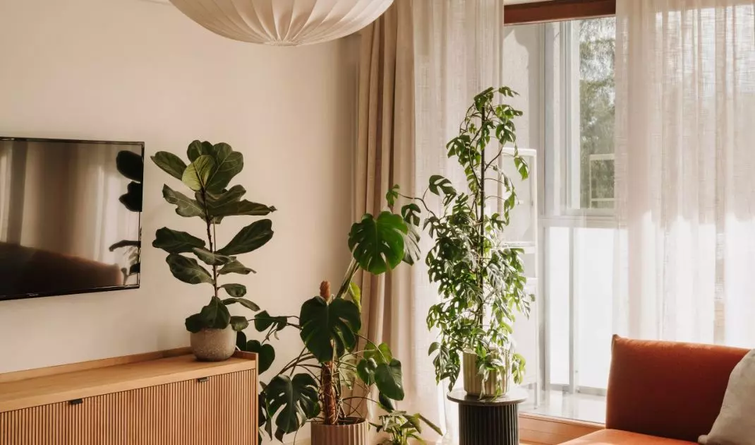 Wrocławski apartament projektu Buduar łączy sztukę, meble vintage i ciepłe, wyraziste kolory