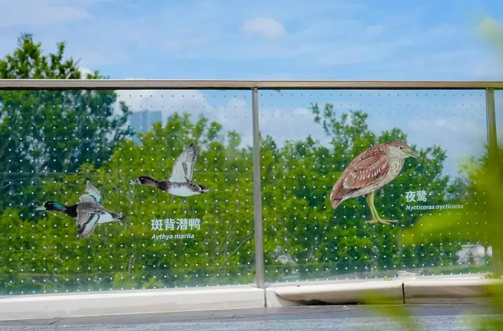 Tengyun Center in Shenzhen