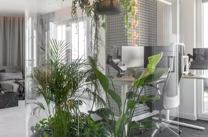A home palm house behind curved glass brings vibrant greenery into this minimalist apartment