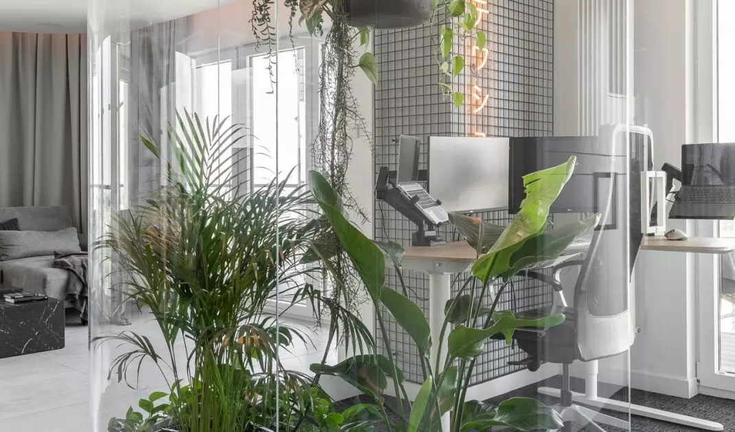 Domowa palmiarnia za giętym szkłem wprowadza do minimalistycznego apartamentu intensywną zieleń