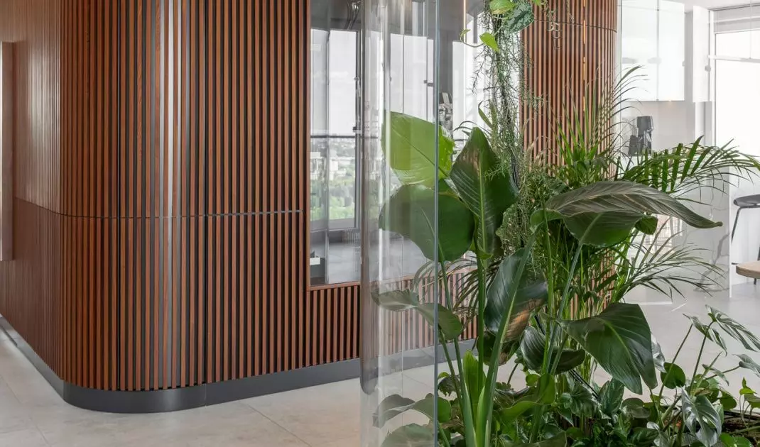 Apartament z palmiarnią w Warszawie projektu AMJ studio