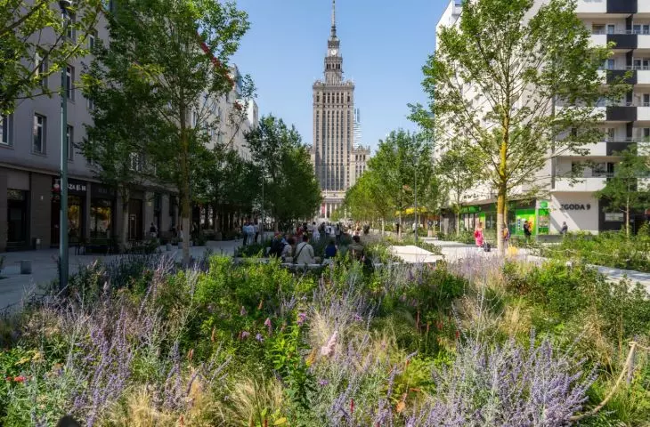 Złota and Zgoda Streets in Warsaw After the Changes