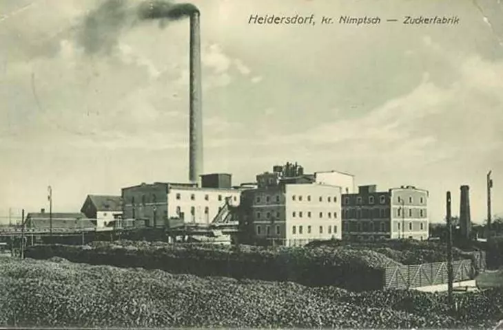 historical photo of the sugar factory