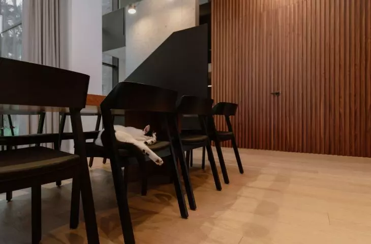 Interiors of the House Among the Trees in Poznań, designed by mode:lina™