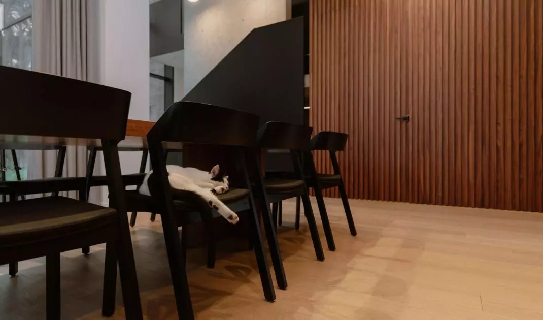 Wnętrza Domu Wśród Drzew w Poznaniu projektu mode:lina™