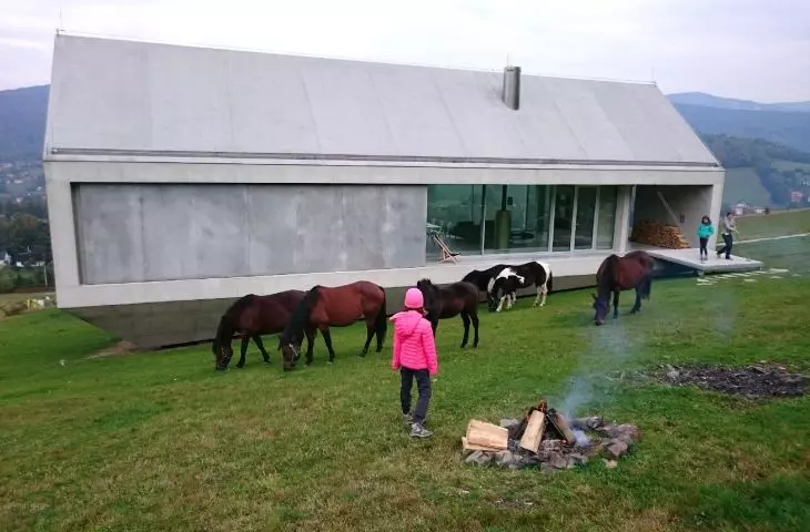 Konieczny's Ark