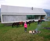 Arka Koniecznego