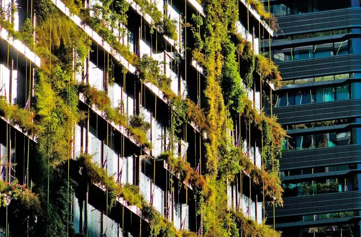 Among other things, the directive required the preparation of a life cycle assessment (LCA) for the product, the disclosure of sources and data, and the verification of claims by accredited bodies