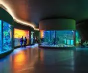 Pantanal Biopark in Brazil, designed by Ohtake