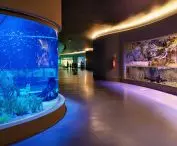 Pantanal Biopark in Brazil, designed by Ohtake