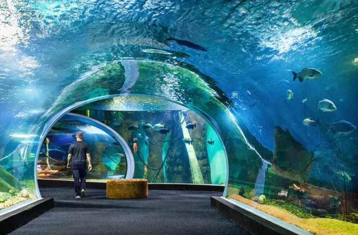 A glass-enclosed tunnel leads visitors through one of the reservoirs