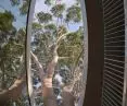 Flyover w Marcellin College w Bulleen w Australii projektu Farrell Wray Architects