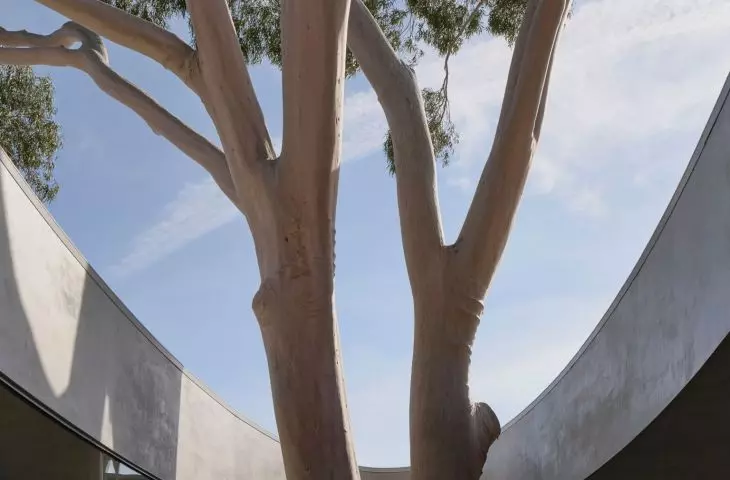 Flyover w Marcellin College w Bulleen w Australii projektu Farrell Wray Architects