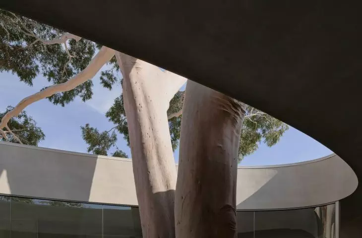 Flyover w Marcellin College w Bulleen w Australii projektu Farrell Wray Architects