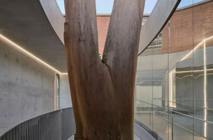 Flyover w Marcellin College w Bulleen w Australii projektu Farrell Wray Architects