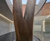 Flyover at Marcellin College in Bulleen, Australia, designed by Farrell Wray Architects