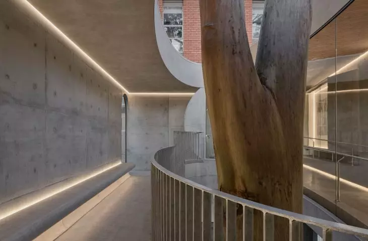 Flyover w Marcellin College w Bulleen w Australii projektu Farrell Wray Architects