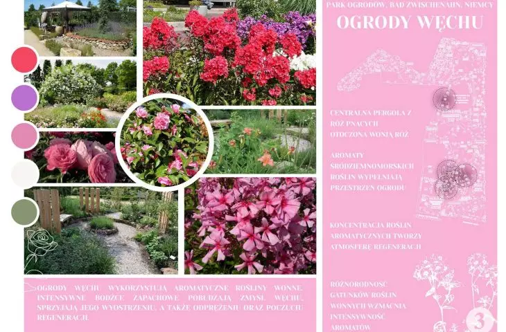 ogrody węchu