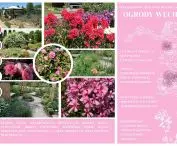scent gardens