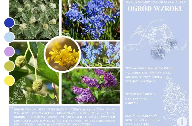 ogród wzroku