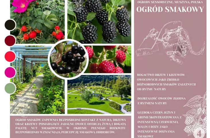 Garden of Flavors