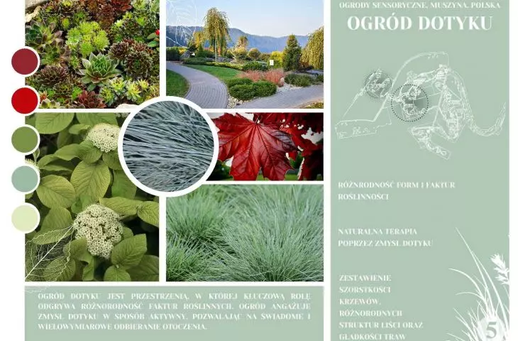 sensory garden