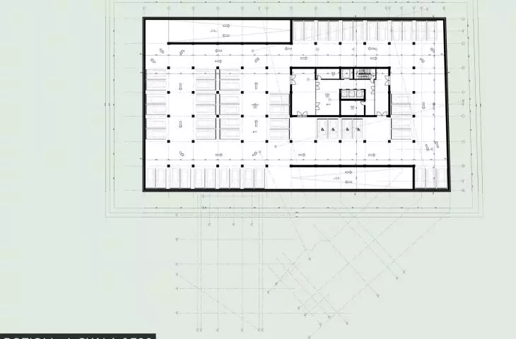 Level -4