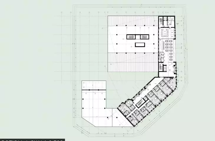 Level 4