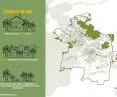 analiza dostępności zieleni dla miasta Gliwice