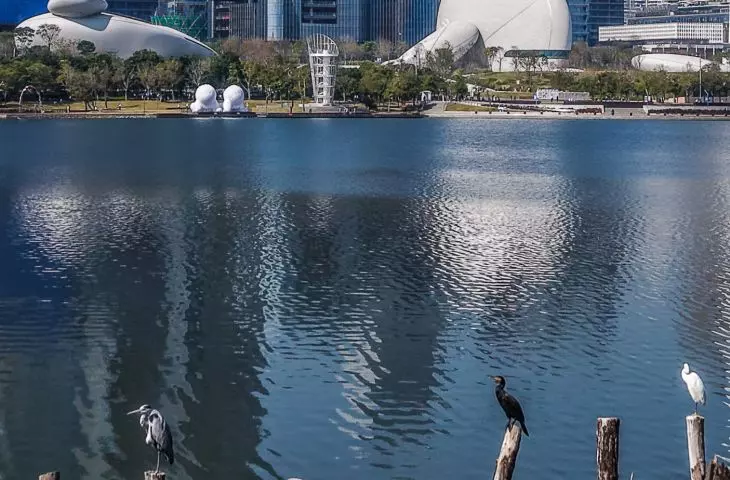 Shenzhen Bay Culture Square, designed by MAD