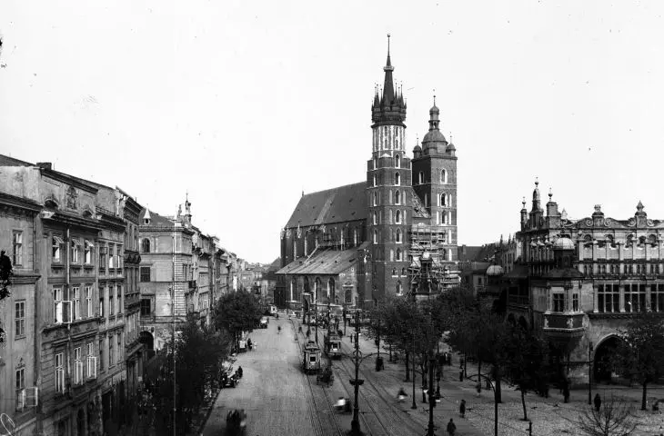 Since at least the 19th century, numerous trees have grown near the Main Market Square in Kraków