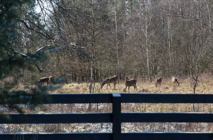 Sąsiadki i sąsiedzi... 