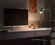 Mono