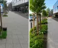 Greenery was also added along Grunwaldzka Street 