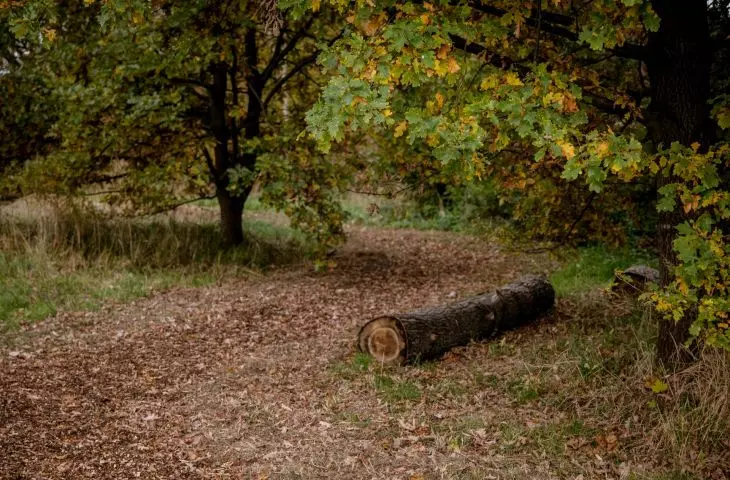 Serenity Park in Mysłowice