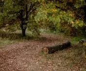 Serenity Park w Mysłowicach