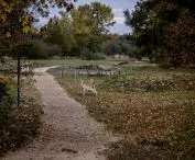 Serenity Park w Mysłowicach