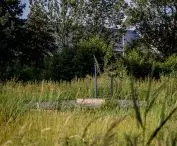 Serenity Park w Mysłowicach