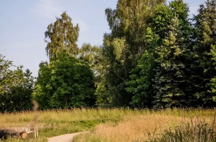 Serenity Park w Mysłowicach