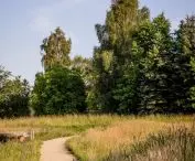 Serenity Park in Mysłowice