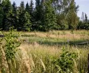 Serenity Park in Mysłowice