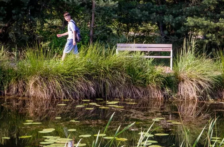 Serenity Park w Mysłowicach