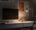 Mono