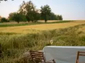 Zdj: