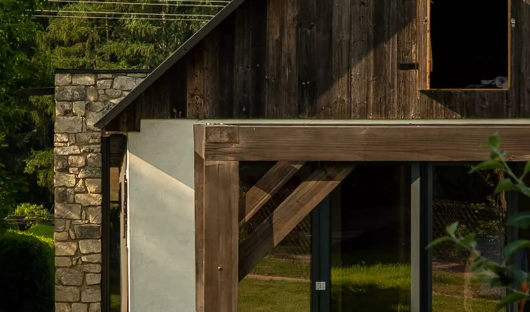 Zdj: