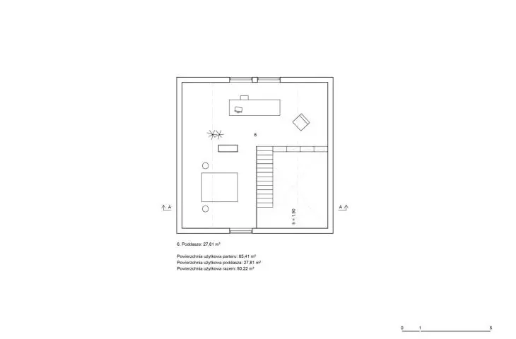 attic projection