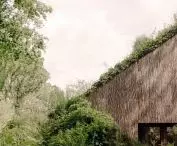 Office by Nature w Blaricum projektu Studio Massimo