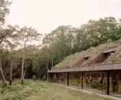 Office by Nature w Blaricum projektu Studio Massimo