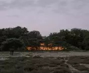 Office by Nature in Blaricum, designed by Studio Massimo