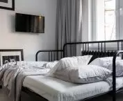 The fold-out bed also functions as a sofa